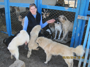 Irina und Hunde